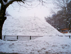 雪祭り