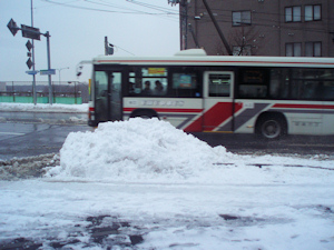 雪かき