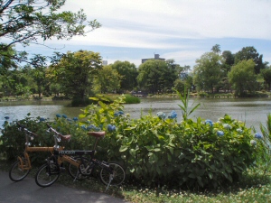 中島公園