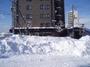 雪の山