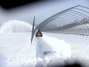 畑の除雪