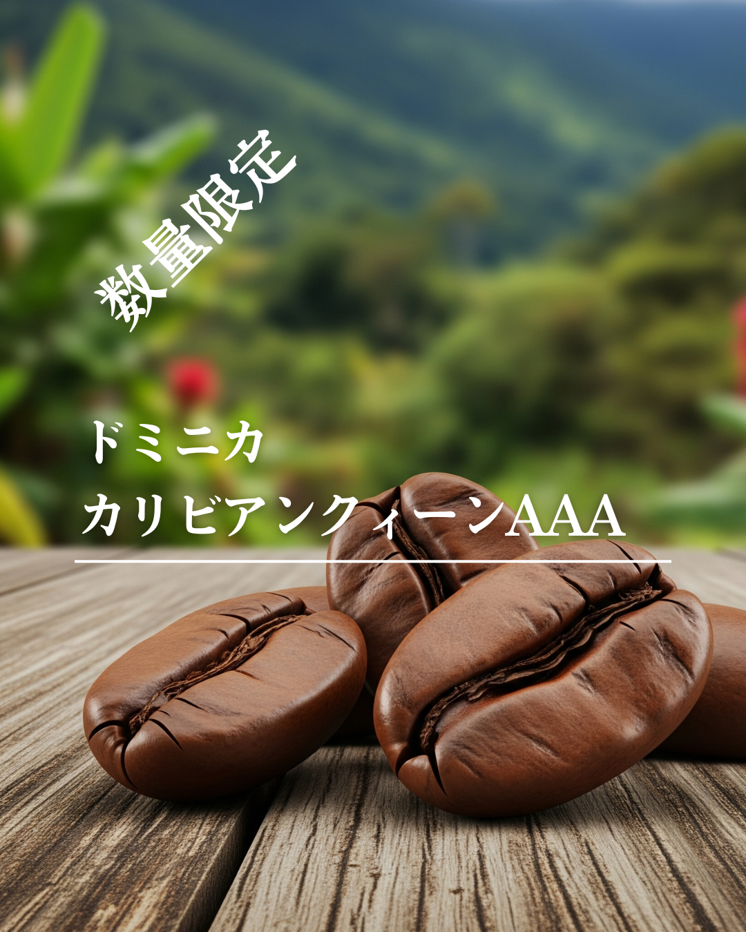 カリビアンクイーン
